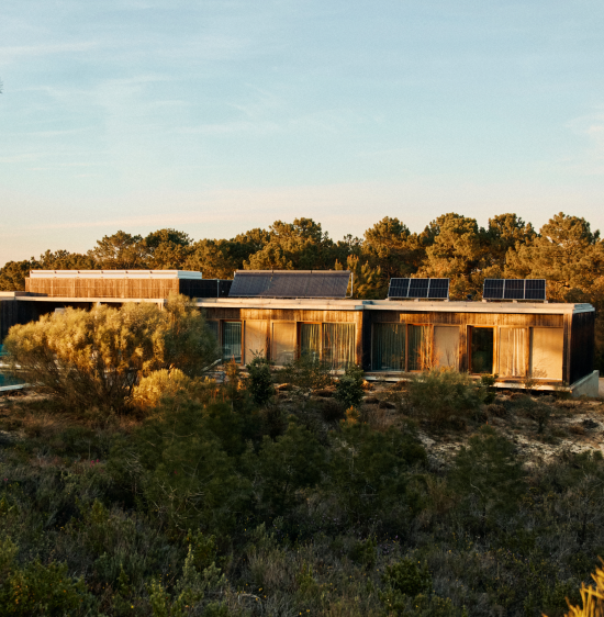 A modern designed house surrounded by trees