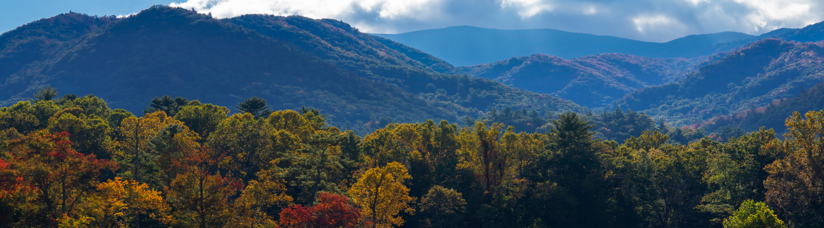 Panoramic view of forested mountains with colorful autumn foliage beneath a cloudy sky.