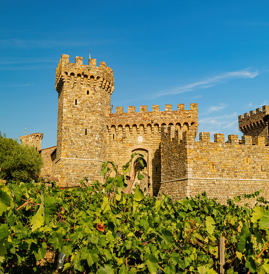 Historic stone castle with a crenellated tower surrounded by greenery.