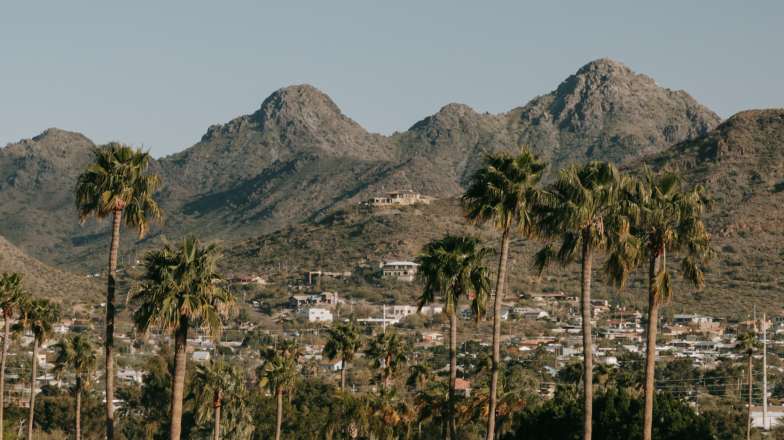 A scenic view of a desert cityscape in Phoenix, Arizona with tall palm trees in the foreground and a mountain range in the background.