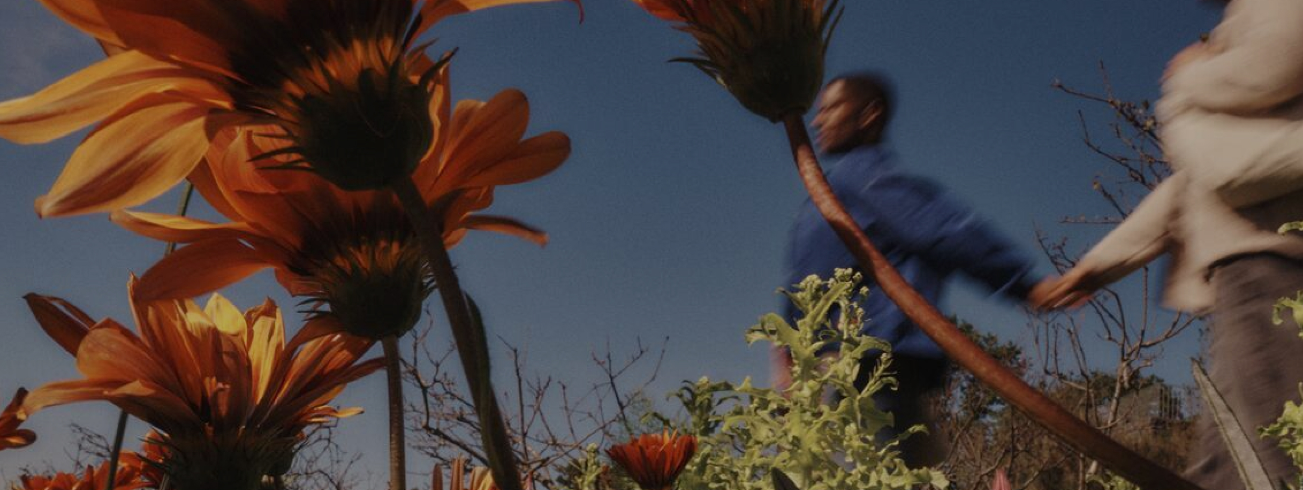 People holding hands and walking past large orange flowers with a blue sky in the background