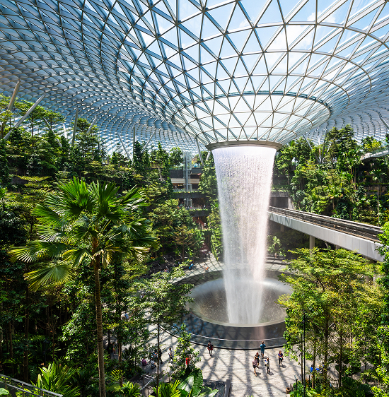 Waterfall with greenery and trees, interior visible through windows, Changi Airport in Singapore.